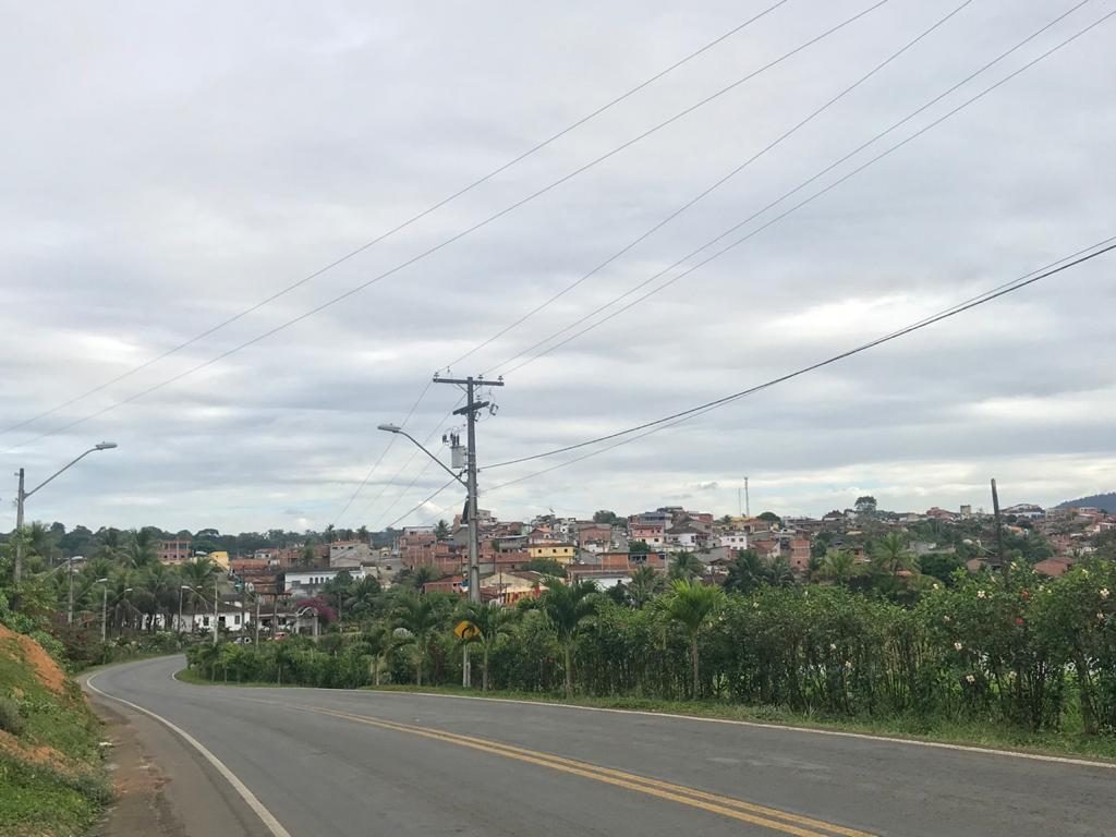 Ibirapitanga