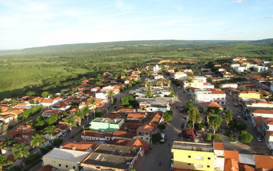 Jaborandi