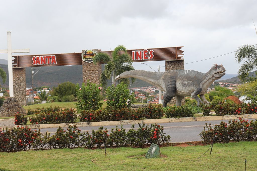 Santa Inês