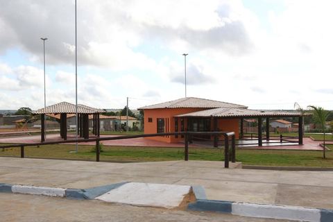 Cipó