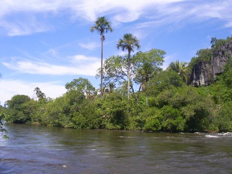 Cocos