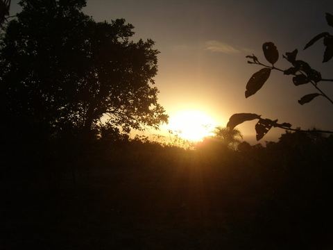 Irará
