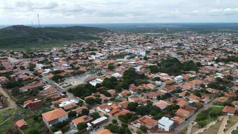 Palmas de Monte Alto