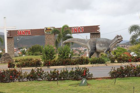 Santa Inês