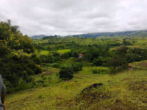 Bom Jardim