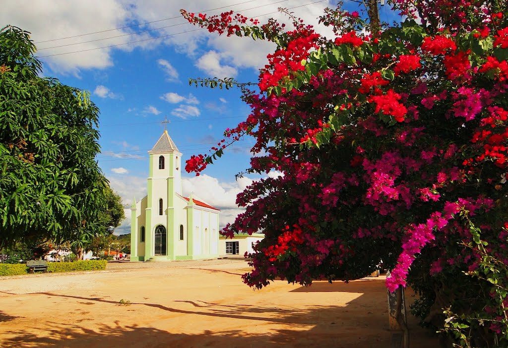 Araújos