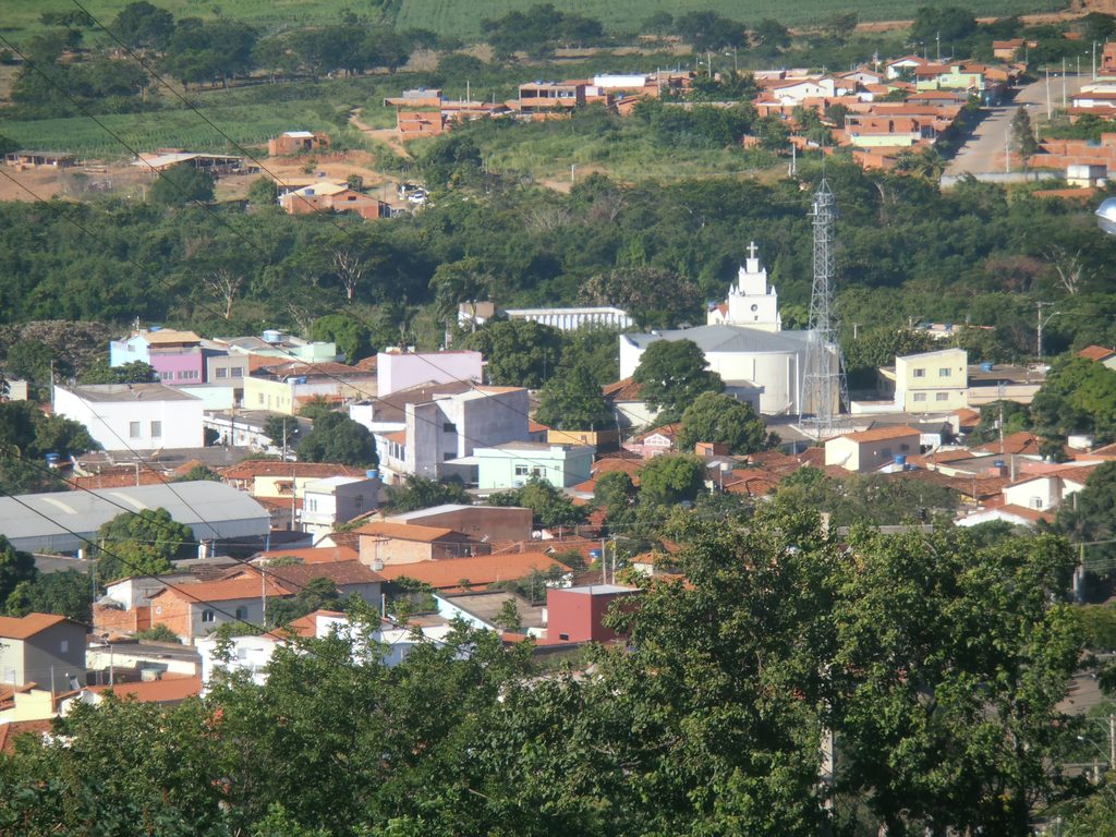 Francisco Sá