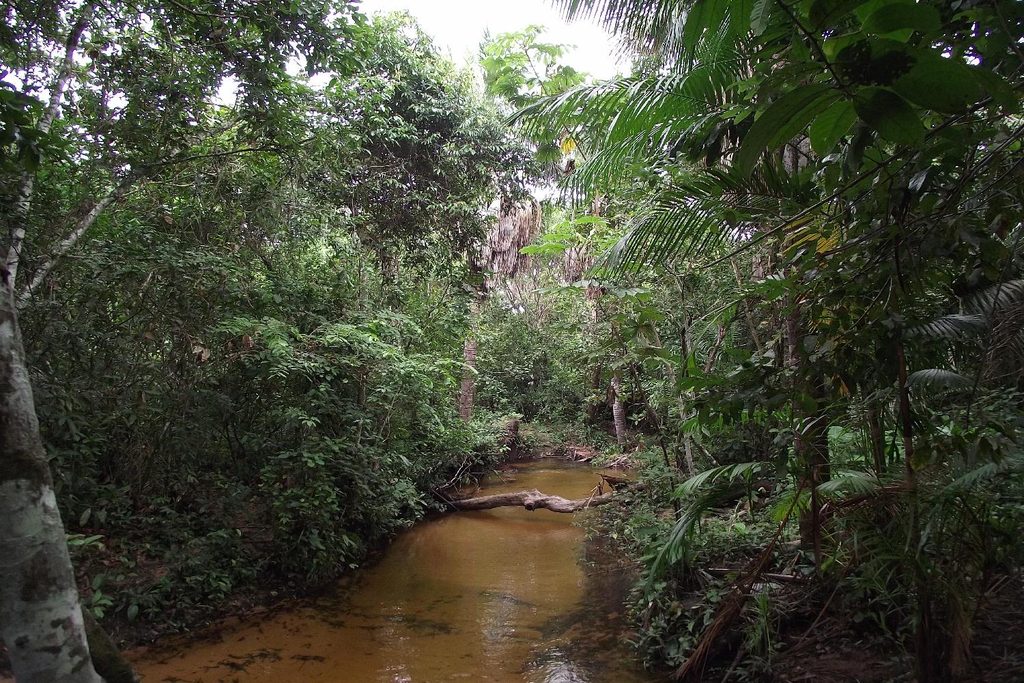 Igarapé