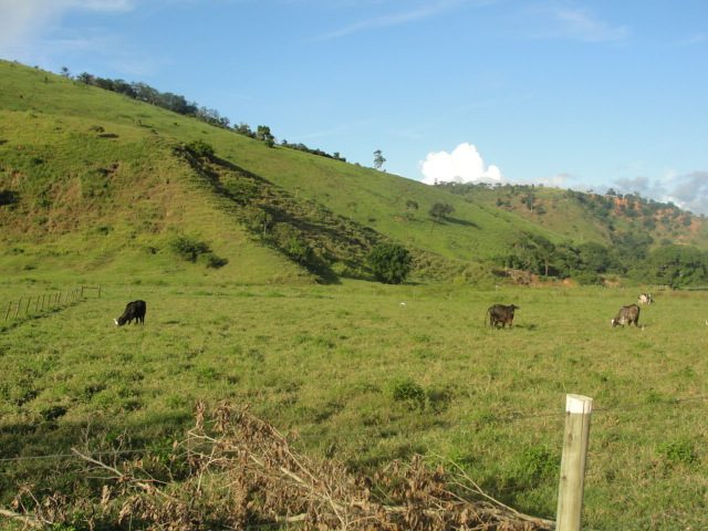 Mendes Pimentel