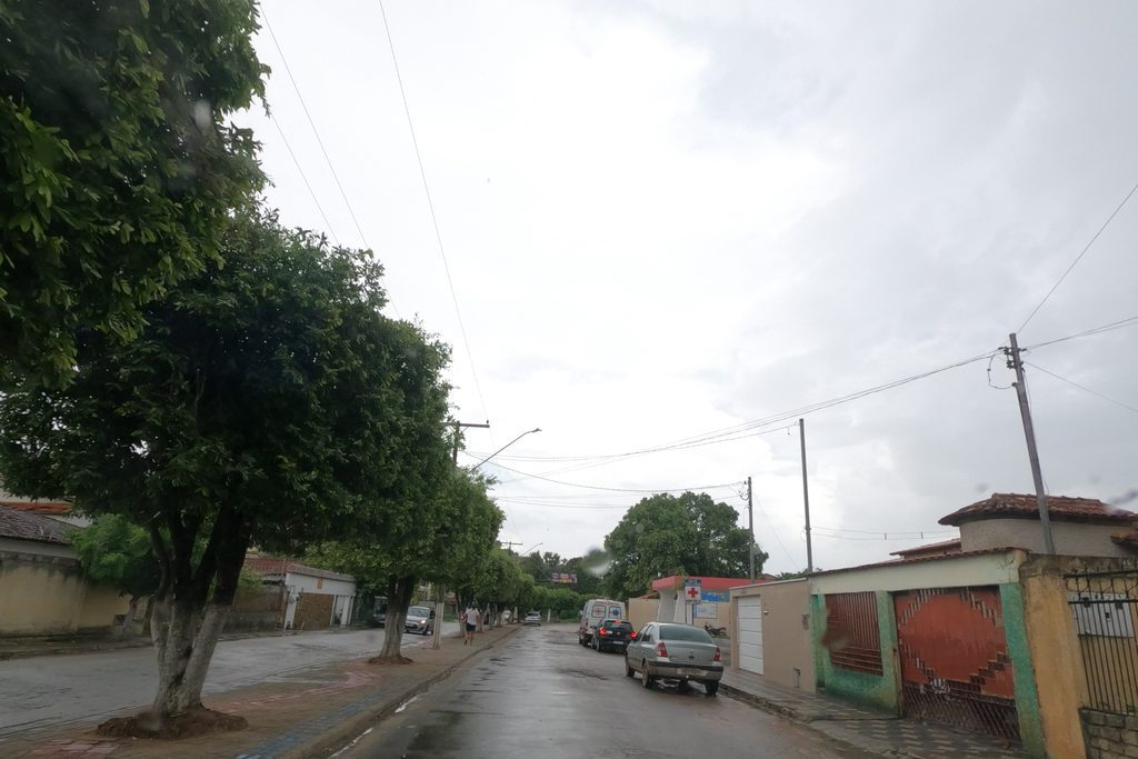 Pavão