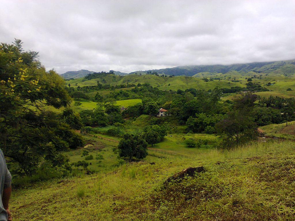 Bom Jardim