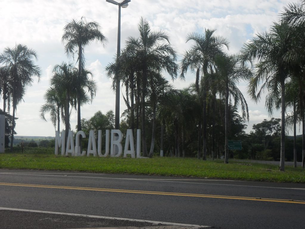 Macaubal