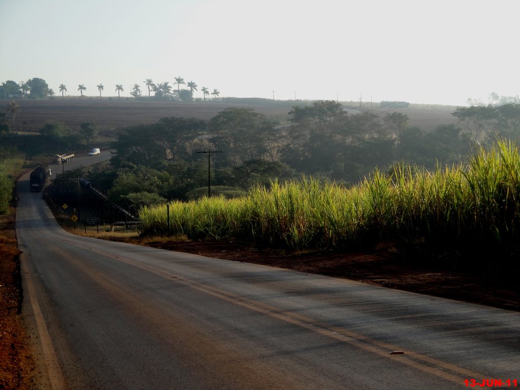 Motuca