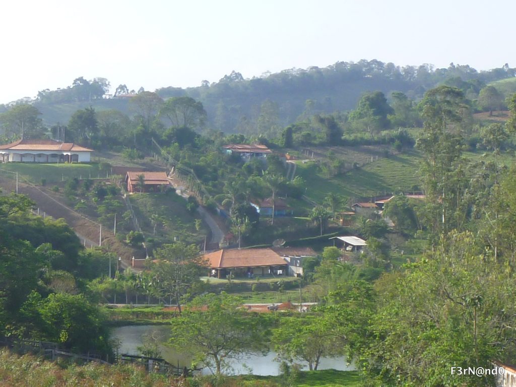 Pinhalzinho