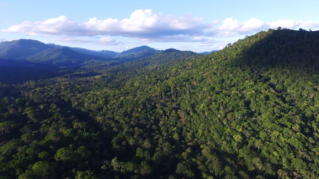 Parque Nacional do Pau Brasil