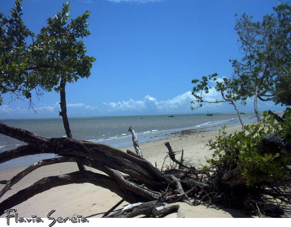 Praia Coroa Vermelha