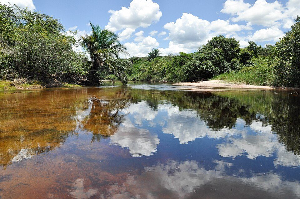 Área de Proteção Ambiental Marimbus/Iraquara