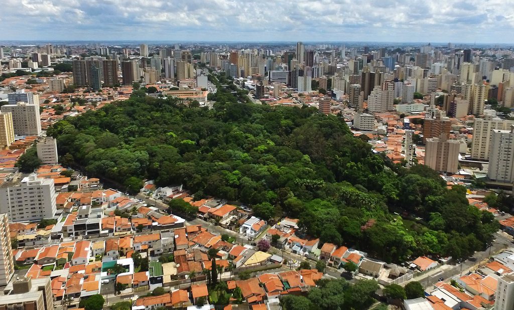 Bosque dos Jequitibas