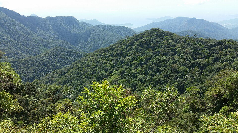 Parque estadual Serra do Mar